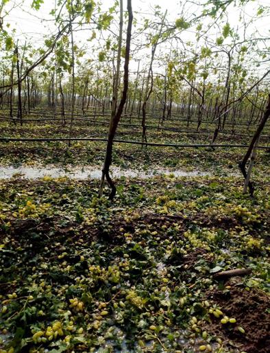  Only 25 crore demand for compensation! | भरपाईसाठी केवळ २५ कोटींची मागणी..!