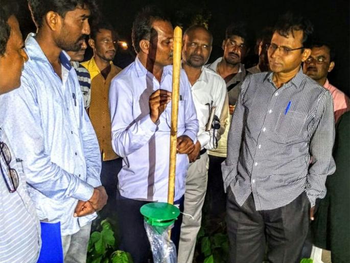 Inspection of Wandagaon by the Secretary of Agriculture | कृषी सचिवांकडून वानडगावात पाहणी