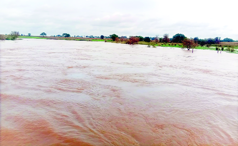 Panchaganga in Shirola again out of character | शिरोळमध्ये पंचगंगा पुन्हा पात्राबाहेर Panchaganga in Shirola again out of character | शिरोळमध्ये पंचगंगा पुन्हा पात्राबाहेर