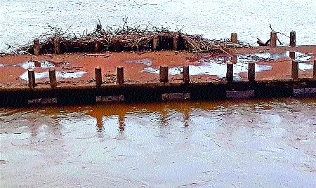 Due to the cold bonded bundle of Bamboo Island, the danger | हळदी बंधाऱ्याला बांबू बेट अडकल्यामुळे धोका Due to the cold bonded bundle of Bamboo Island, the danger | हळदी बंधाऱ्याला बांबू बेट अडकल्यामुळे धोका