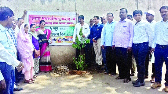 Morning plantation and evening awakening - World Environment Day: Greening seedlings planted by the Municipal Corporation | सकाळी वृक्षारोपण अन् सायंकाळी प्रबोधन- जागतिक पर्यावरण दिन : पालिकेने लावली हिरवीगार रोपे