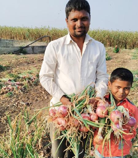The weeping onion laughed at the yield of 1 lakh in 2 days | रडवणाºया कांद्याने १२० दिवसात २१ लाखांचे उत्पन्न देऊन हसविलं