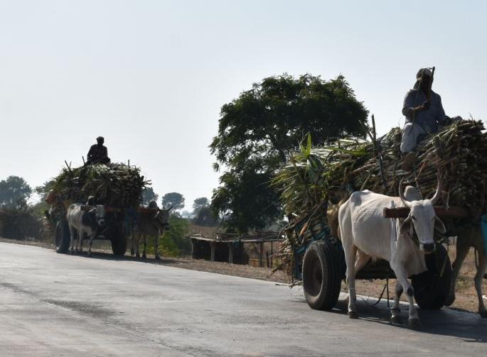 One lakh 85 thousand quintals of sugar production from three factories | तीन कारखान्यांकडून एक लाख 85 हजार क्विंटल साखरेचे उत्पादन