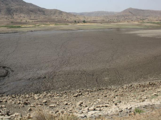 Monsoon rises halfway in 10 years | 10 वर्षात निम्म्यावर आला पावसाळा Monsoon rises halfway in 10 years | 10 वर्षात निम्म्यावर आला पावसाळा