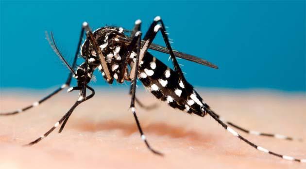 Sports Department's Joint Youth Festival again no longer due to the competition | क्रीडा विभागाचा जिल्हा युवा महोत्सव स्पर्धकांअभावी पुन्हा लांबणीवर Sports Department's Joint Youth Festival again no longer due to the competition | क्रीडा विभागाचा जिल्हा युवा महोत्सव स्पर्धकांअभावी पुन्हा लांबणीवर