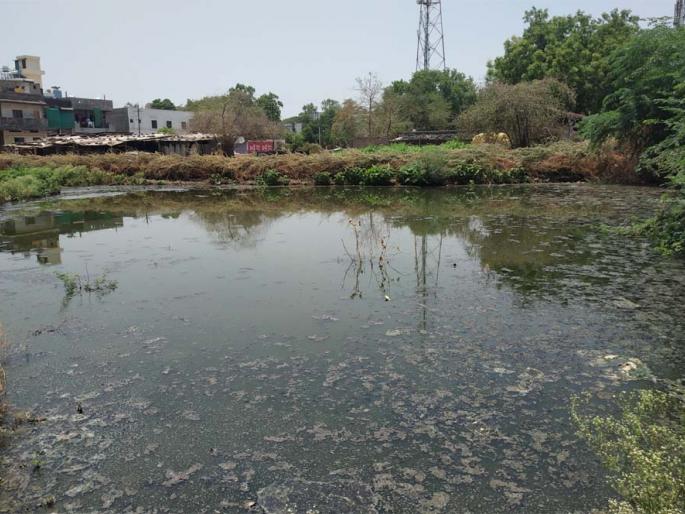 Health hazards due to sewage odor | सांडपाण्याच्या दुर्गंधीमुळे आरोग्य धोक्यात Health hazards due to sewage odor | सांडपाण्याच्या दुर्गंधीमुळे आरोग्य धोक्यात