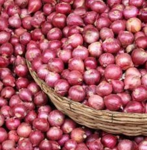 Lightly seasoned onion with onion | हलक्या प्रतीचा कांदा आल्याने व्यवहार ठप्प Lightly seasoned onion with onion | हलक्या प्रतीचा कांदा आल्याने व्यवहार ठप्प