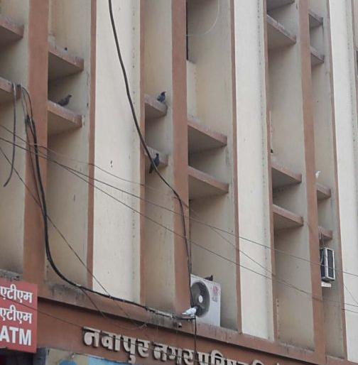 Nawapur Municipal Council elections | नवापुर नगरपालिकेचा पोटनिवडणूक कार्यक्रम सुरु Nawapur Municipal Council elections | नवापुर नगरपालिकेचा पोटनिवडणूक कार्यक्रम सुरु