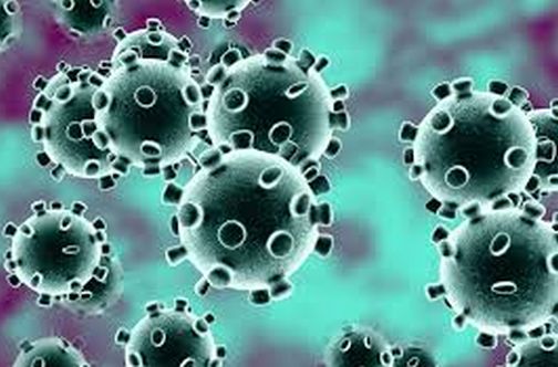 Differences in patient numbers in health department information | आरोग्य विभागाच्या माहितीत रूग्ण संख्येत तफावत Differences in patient numbers in health department information | आरोग्य विभागाच्या माहितीत रूग्ण संख्येत तफावत