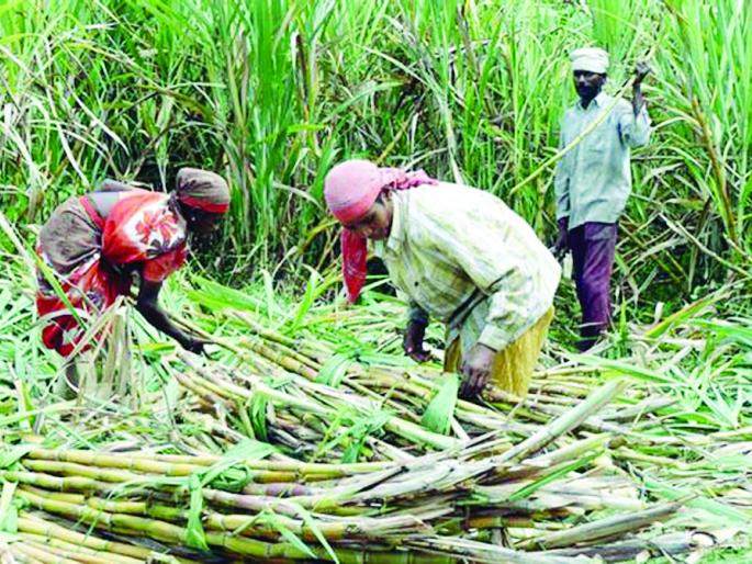 Rupee depreciated by 13% in three months | तीन महिन्यांत रुपयाचे १३ टक्क्यांनी झाले अवमूल्यन Rupee depreciated by 13% in three months | तीन महिन्यांत रुपयाचे १३ टक्क्यांनी झाले अवमूल्यन