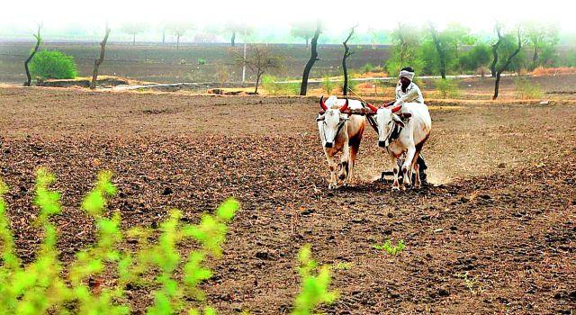 Sowing was delayed due to heavy rains | पावसाने दडी मारल्याने पेरण्या खोळंबल्या Sowing was delayed due to heavy rains | पावसाने दडी मारल्याने पेरण्या खोळंबल्या