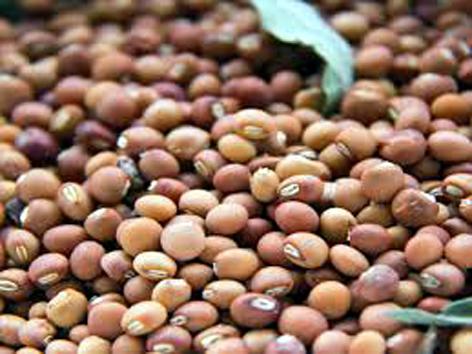 Parbhani: 2100 farmers waiting for grants | परभणी: २१०० शेतकरी अनुदानाच्या प्रतीक्षेत