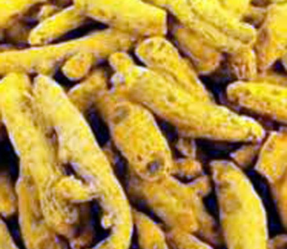 Parbhani: The turmeric will start to buy | परभणी : हळद खरेदीस होणार सुरुवात Parbhani: The turmeric will start to buy | परभणी : हळद खरेदीस होणार सुरुवात