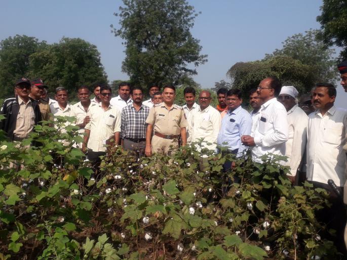 Panchanam of crops in the presence of police | पोलिसांच्या उपस्थितीत पिकांचे पंचनामे Panchanam of crops in the presence of police | पोलिसांच्या उपस्थितीत पिकांचे पंचनामे