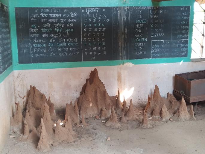 Ants of Kuruksu School | संगमेश्वरातील शाळेत मुंग्यांची वारूळ, करजुवे शाळेची दुरवस्था Ants of Kuruksu School | संगमेश्वरातील शाळेत मुंग्यांची वारूळ, करजुवे शाळेची दुरवस्था
