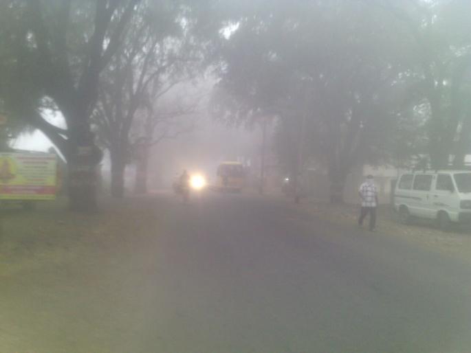 Sangli, in the morning, fog in the morning, winters in the afternoon, fluctuations in temperature | सांगलीत सकाळी दाट धुके, दुपारी कडक ऊन, तापमानातील चढ-उतार कायम Sangli, in the morning, fog in the morning, winters in the afternoon, fluctuations in temperature | सांगलीत सकाळी दाट धुके, दुपारी कडक ऊन, तापमानातील चढ-उतार कायम