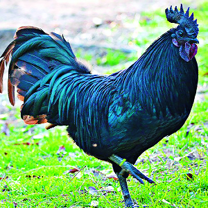 Get a loan here and invest here ... | इथेच कर्ज घ्या अन् इथेच गुंतवणूक करा...