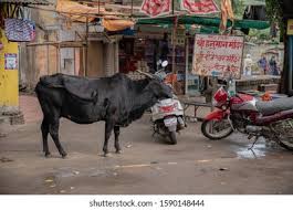 Trimbakeshwar's public curfew increased! | त्र्यंबकेश्वरच्या जनता कर्फ्युत वाढ!