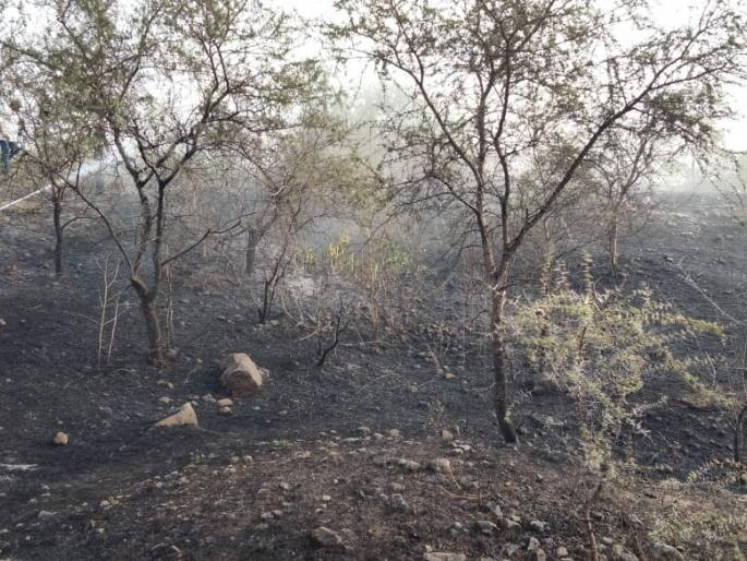 Fire on Ambareesh hill for two days in a row | सतत दोन दिवस लागलेल्या आगीने ‘अंबरीश’ होरपळली