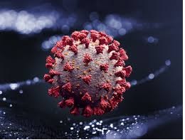 On Monday, traders will take the initiative for a 'strict closure' | सोमवार ‘कडकडीत बंद’साठी व्यापारी पुढाकार घेणार On Monday, traders will take the initiative for a 'strict closure' | सोमवार ‘कडकडीत बंद’साठी व्यापारी पुढाकार घेणार