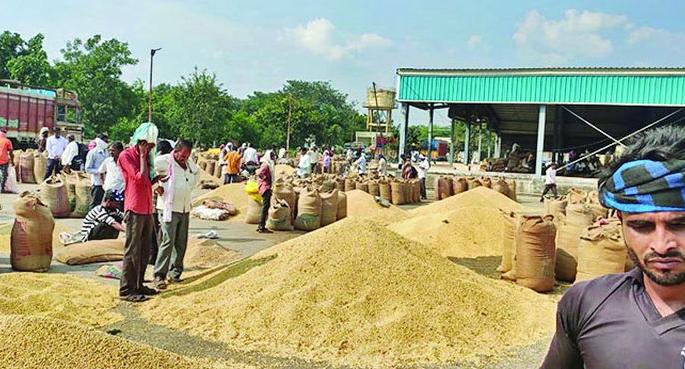 Purchase of 31,000 quintals of soybeans in one day in Washim APMC | एका दिवसात ३१ हजार क्विंटल साेयाबीनची खरेदी Purchase of 31,000 quintals of soybeans in one day in Washim APMC | एका दिवसात ३१ हजार क्विंटल साेयाबीनची खरेदी