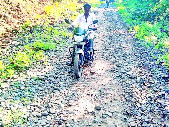 The road to the death of Botha-Panjra is cheap | बोथली-पांजरा रस्ता मरणाला झाला सस्ता