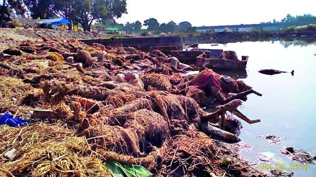 Pollution of Dham Basin | धाम नदीपात्राला प्रदूषणाचा विळखा