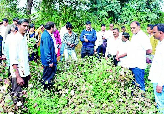 Immediately survey the damage caused by the rains | अवकाळी पावसाने झालेल्या नुकसानीचे तातडीने सर्व्हे करा
