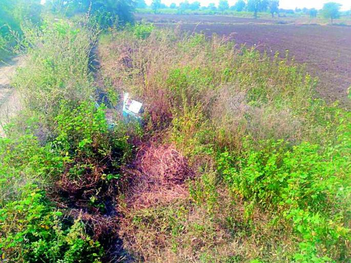 Dismissal of agriculture, farming is dry | पाटचऱ्या नादुरूस्त, शेती कोरडी Dismissal of agriculture, farming is dry | पाटचऱ्या नादुरूस्त, शेती कोरडी