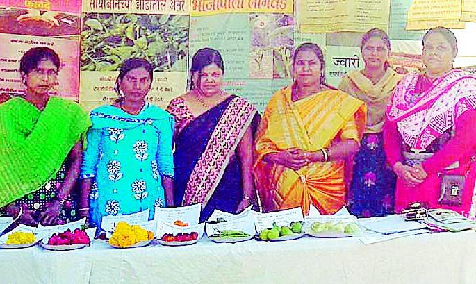 Agricultural guidance and rally in Sai Yatra Mahotsav | साई यात्रा महोत्सवात कृषी मार्गदर्शन व मेळावा Agricultural guidance and rally in Sai Yatra Mahotsav | साई यात्रा महोत्सवात कृषी मार्गदर्शन व मेळावा