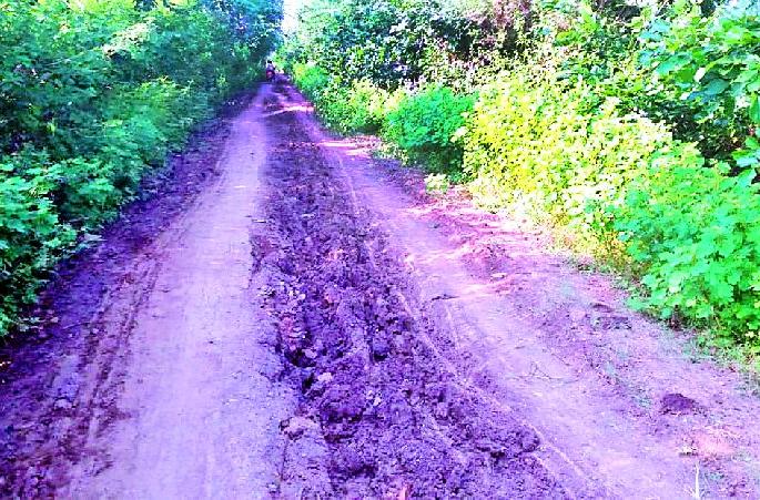 There will never be any roadway in Vishwanagar | विश्वनगर मौजातील पांदण रस्ते कधी होणार There will never be any roadway in Vishwanagar | विश्वनगर मौजातील पांदण रस्ते कधी होणार