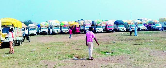 Cotton arrivals rise in market committee | बाजार समितीत कापसाची आवक वाढली Cotton arrivals rise in market committee | बाजार समितीत कापसाची आवक वाढली