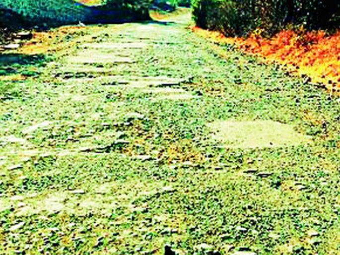 Two tenders on the same road of Zilla Parishad | जिल्हा परिषदेच्या एकाच रस्त्यावर दोन निविदा Two tenders on the same road of Zilla Parishad | जिल्हा परिषदेच्या एकाच रस्त्यावर दोन निविदा