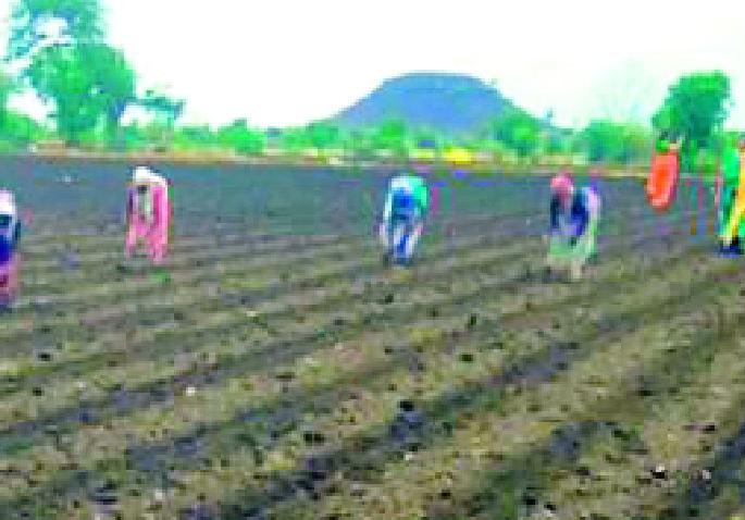 Farmers do not sow immediately | शेतकऱ्यांनो लगेच पेरणी करू नका