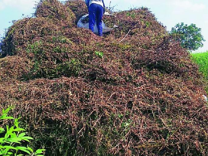 Rain promises to survive | पावसाने केले जगण्याचे वांदे Rain promises to survive | पावसाने केले जगण्याचे वांदे