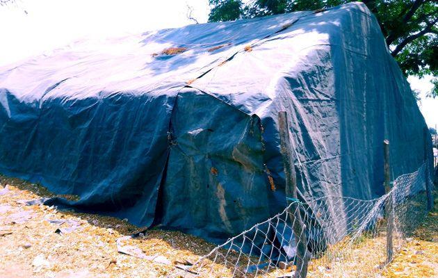 Gondia has only seven thousand quintals of coriander base | गोंदियात सात हजार क्विंटल धानाला केवळ ताडपत्र्यांचा आधार