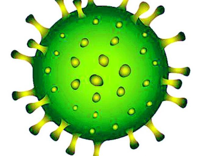 Corona dies of old age recruited two days ago | दोन दिवसापूर्वी भरती झालेल्या वृद्धाचा कोरोनाने मृत्यू Corona dies of old age recruited two days ago | दोन दिवसापूर्वी भरती झालेल्या वृद्धाचा कोरोनाने मृत्यू