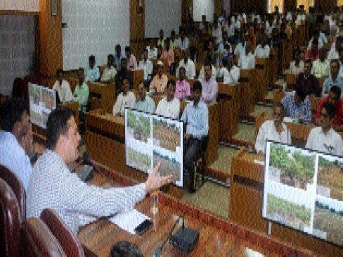 Fill the carpet with the addition of tree plantation - Pandey | वृक्ष लागवडीसोबतच संगोपनावर भर द्यावा - पाण्डेय Fill the carpet with the addition of tree plantation - Pandey | वृक्ष लागवडीसोबतच संगोपनावर भर द्यावा - पाण्डेय