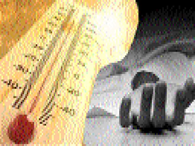 Only a woman's fatal death | केवळ एका महिलेचा उष्माघाताने मृत्यू Only a woman's fatal death | केवळ एका महिलेचा उष्माघाताने मृत्यू