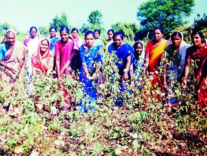 Savitribai Phule Bachat Gat of Amravati district has saved the loan of Rs 28 lakh from the women's savings group | अमरावती जिल्ह्यातील सावित्रीबाई फुले महिला बचतगटाने कर्ज फेडून केली २८ लाखांची बचत