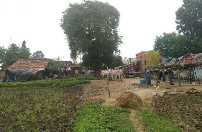 she says, this whole village is in my name .. empty it .. | 'ती' म्हणते, हे अख्खे गाव माझ्या नावावर आहे.. ते रिकामे करून द्या.. she says, this whole village is in my name .. empty it .. | 'ती' म्हणते, हे अख्खे गाव माझ्या नावावर आहे.. ते रिकामे करून द्या..
