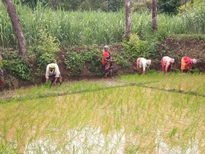 Help farmers up to Rs 2 lakh per hectare, farmers demand | शेतकऱ्यांना हेक्टरी २ लाखापर्यंत मदत करा, शेतकऱ्यांची मागणी
