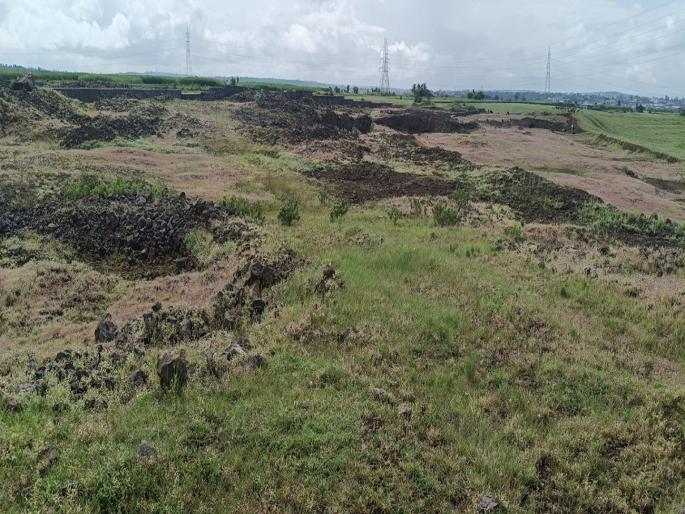 International Cricket Stadium at Vikaswadi in Kolhapur; Fracture of place transfer | कोल्हापुरात विकासवाडी येथे आंतरराष्ट्रीय क्रिकेट स्टेडियम; जागा हस्तांतरणाचा तिढा International Cricket Stadium at Vikaswadi in Kolhapur; Fracture of place transfer | कोल्हापुरात विकासवाडी येथे आंतरराष्ट्रीय क्रिकेट स्टेडियम; जागा हस्तांतरणाचा तिढा