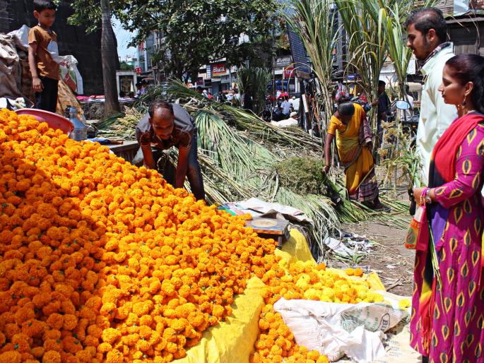 The tomatoes rose, the rate of onion was like | झेंडूचे दर घसरले, फूल उत्पादक शेतकरी नाराज The tomatoes rose, the rate of onion was like | झेंडूचे दर घसरले, फूल उत्पादक शेतकरी नाराज