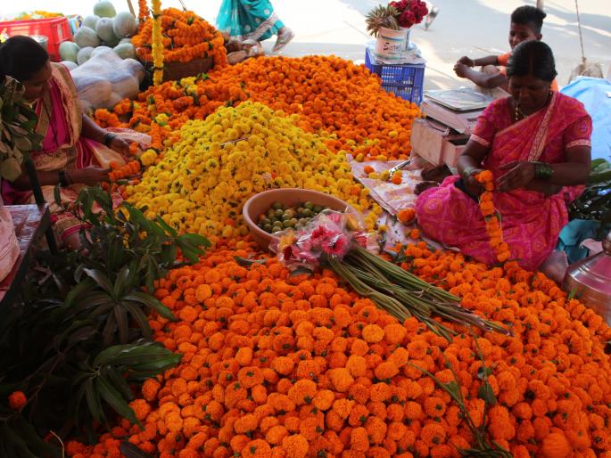 Diwali: In the Kolhapur market for the purchase of Lakshmi Pooja, a large arid of marigold flowers | Diwali : लक्ष्मीपूजनाच्या खरेदीसाठी कोल्हापूर बाजारपेठेत गर्दी, झेंडूच्या फुलांची मोठी आवक Diwali: In the Kolhapur market for the purchase of Lakshmi Pooja, a large arid of marigold flowers | Diwali : लक्ष्मीपूजनाच्या खरेदीसाठी कोल्हापूर बाजारपेठेत गर्दी, झेंडूच्या फुलांची मोठी आवक