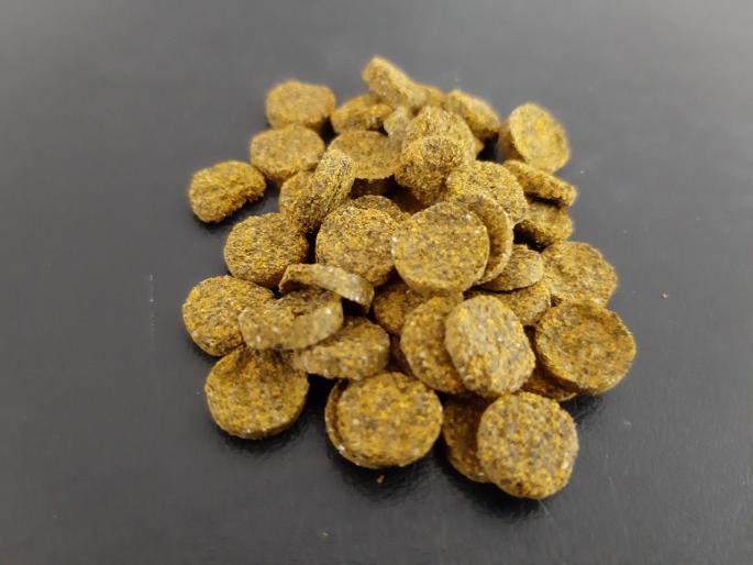 Shivaji University will now give a healthy turmeric pill | शिवाजी विद्यापीठ देणार आता आरोग्यवर्धक हळदीची गोळी Shivaji University will now give a healthy turmeric pill | शिवाजी विद्यापीठ देणार आता आरोग्यवर्धक हळदीची गोळी