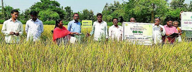 Farm Day Program on Farmers' Farm | शेतकऱ्यांच्या शेतावर शेती दिन कार्यक्रम