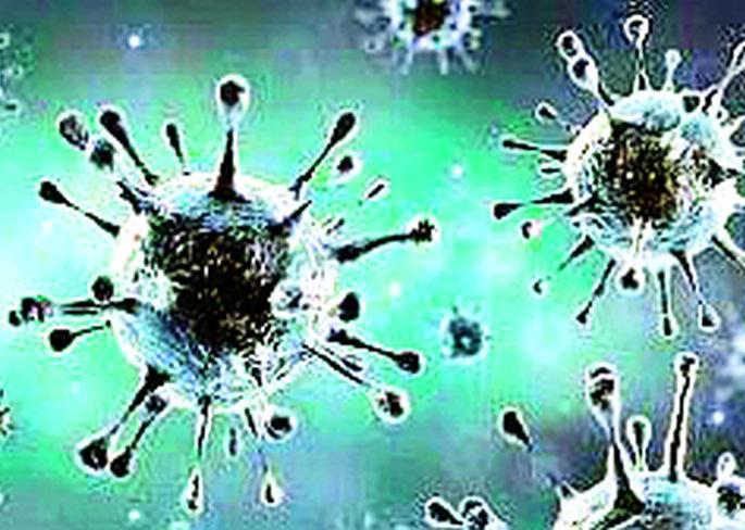 District coronated by collective effort | सामूहिक प्रयत्नाने जिल्हा कोरोनामुक्त District coronated by collective effort | सामूहिक प्रयत्नाने जिल्हा कोरोनामुक्त