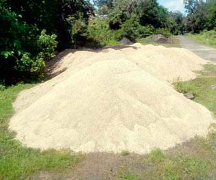 Revenue Administration inquiry order | महसूल प्रशासनाचे चौकशीचे आदेश Revenue Administration inquiry order | महसूल प्रशासनाचे चौकशीचे आदेश