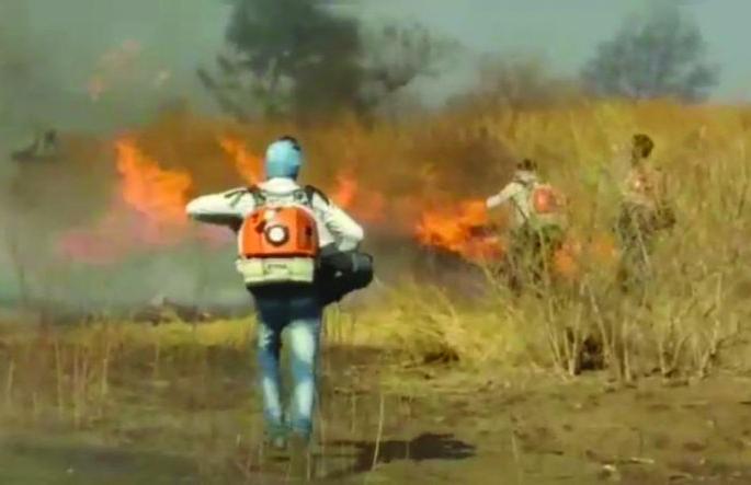 Forest Department on alert mode to prevent fires | आगीच्या घटना रोखण्यासाठी वनविभाग 'अलर्ट मोड'वर Forest Department on alert mode to prevent fires | आगीच्या घटना रोखण्यासाठी वनविभाग 'अलर्ट मोड'वर